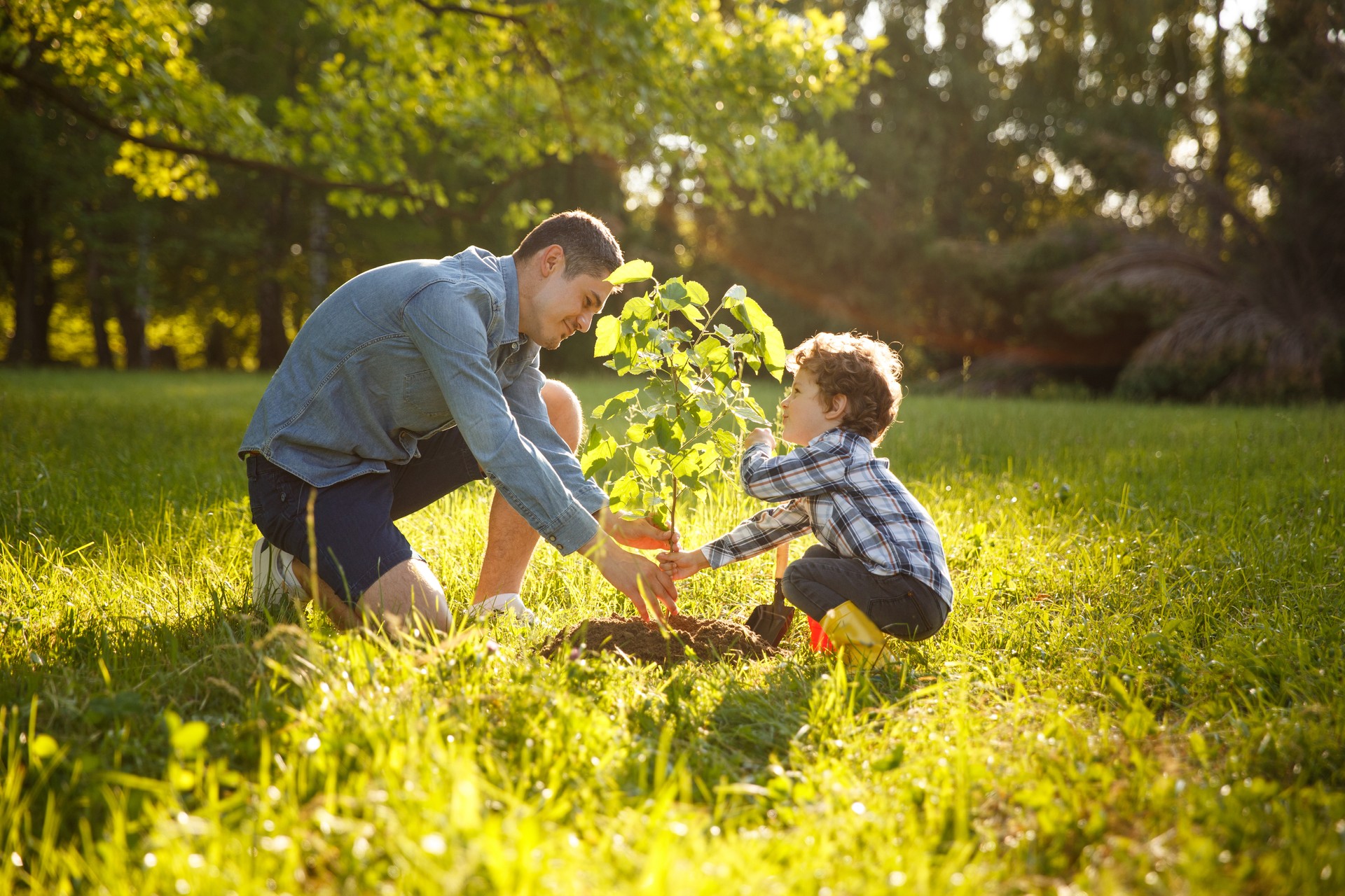 Parent and child planting tree