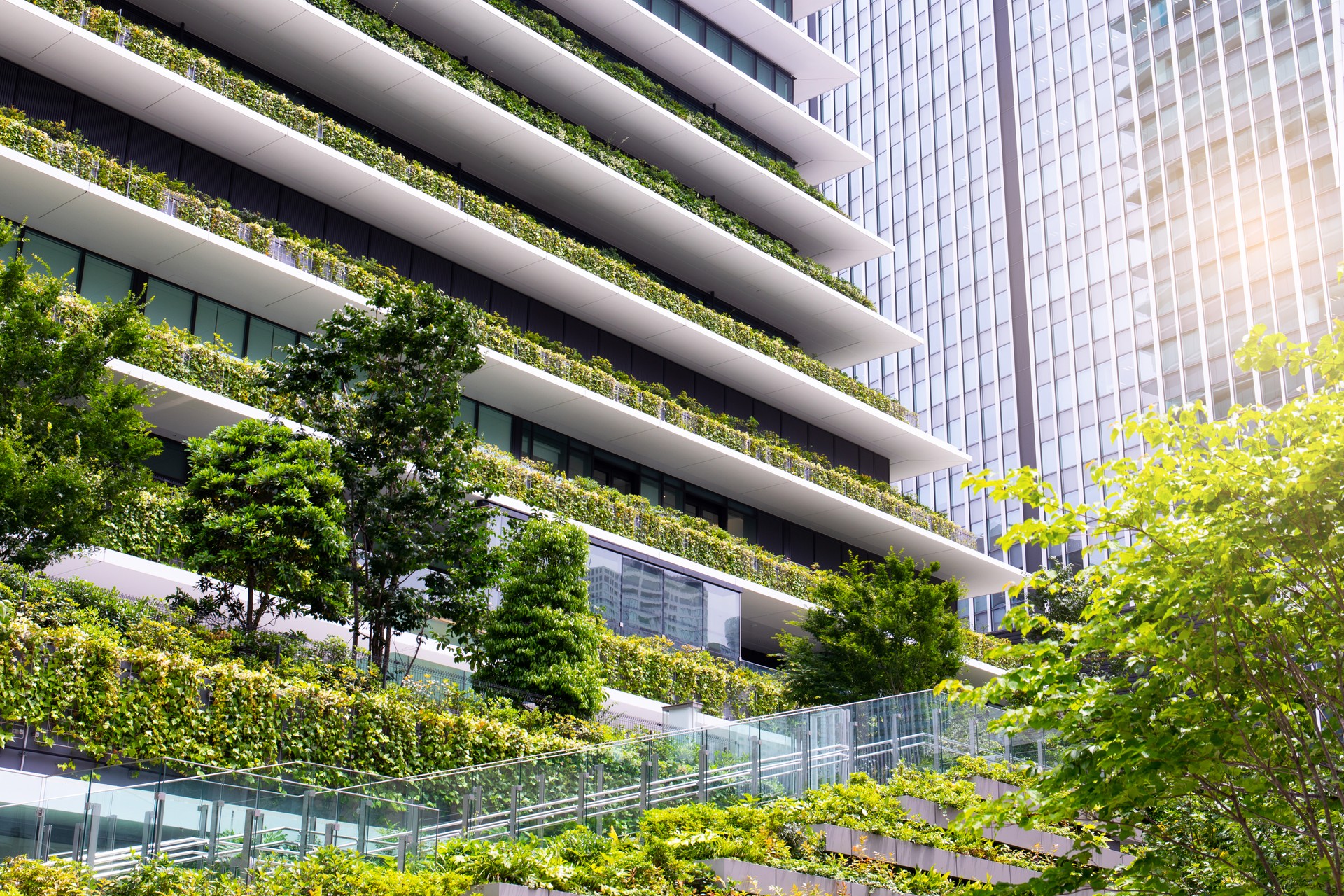 Trees grow on building.